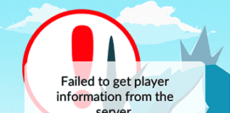 Failed to Get Player Information from the Server