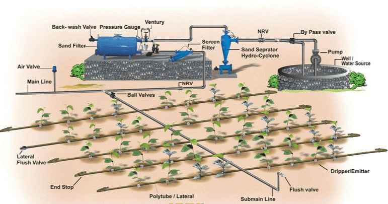 Automating Irrigation Systems