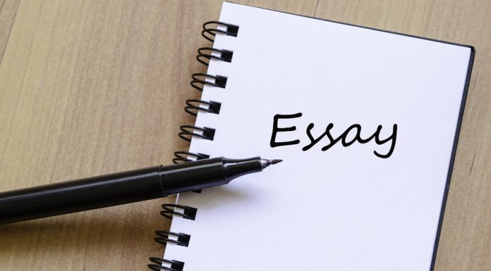 Things To Remember While Essay Writing