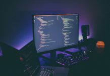 Choosing a Programming Language and First Career Steps to Take