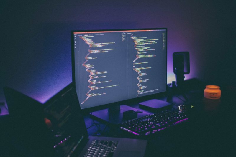 Choosing a Programming Language and First Career Steps to Take