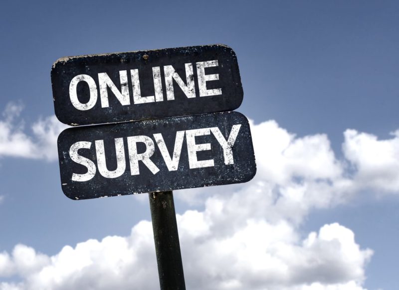 Online Survey Jobs without Investment