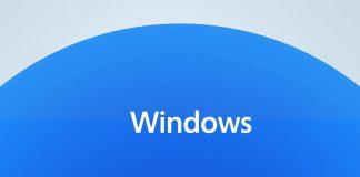 windows 11 beta download